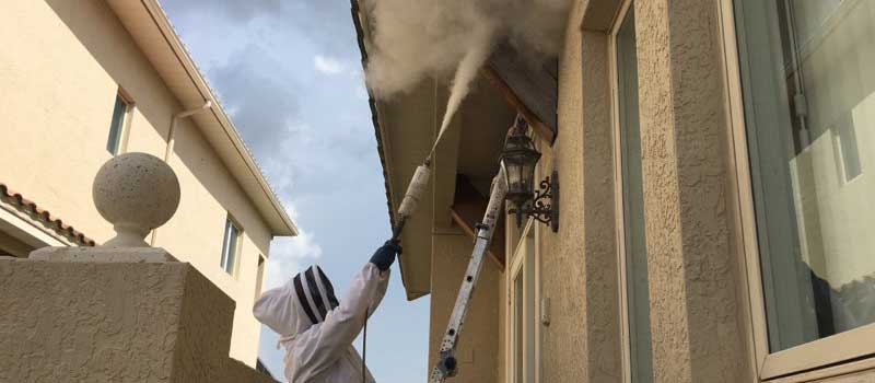 Pest Control in Lake Wales, Florida