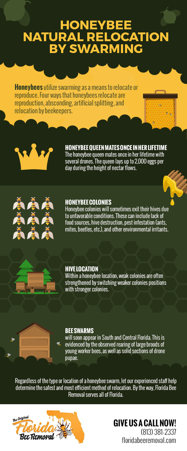 Honeybee natural relocation by swarming