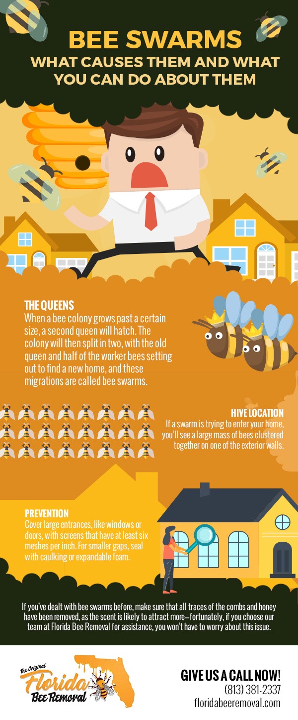 Bee Swarms: What Causes Them and What You Can Do About Them