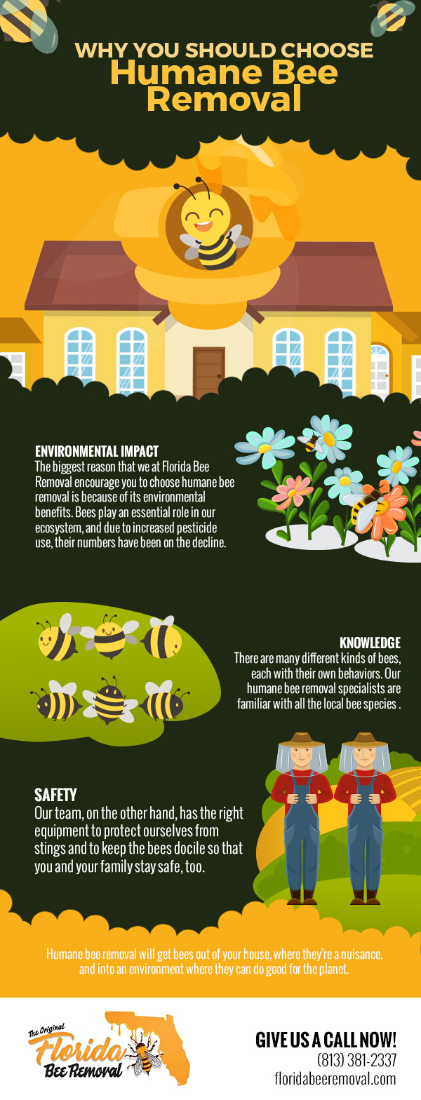 Why You Should Choose Humane Bee Removal