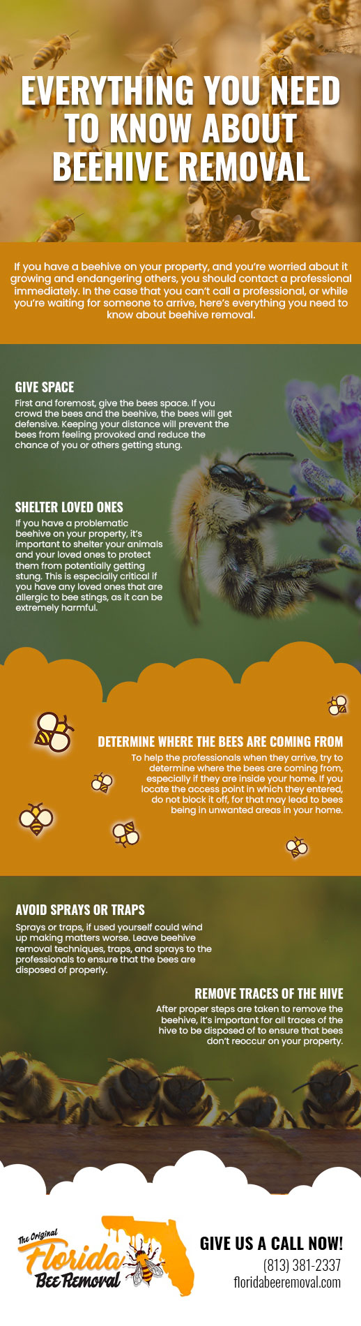 Everything You Need to Know About Beehive Removal