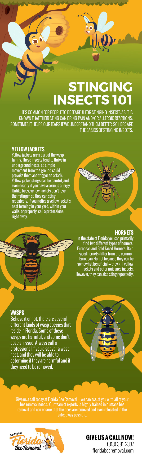 Stinging Insects 101 [infographic]