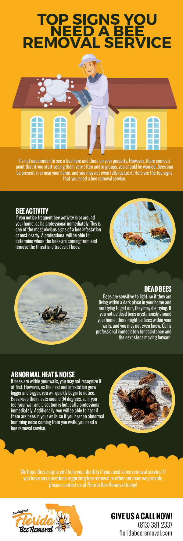 Top Signs You Need a Bee Removal Service [infographic]