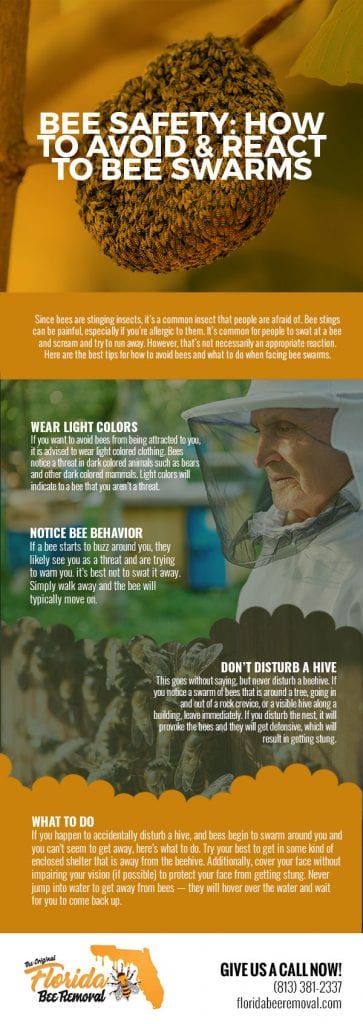 Bee Safety: How to Avoid & React to Bee Swarms [infographic] | Florida ...