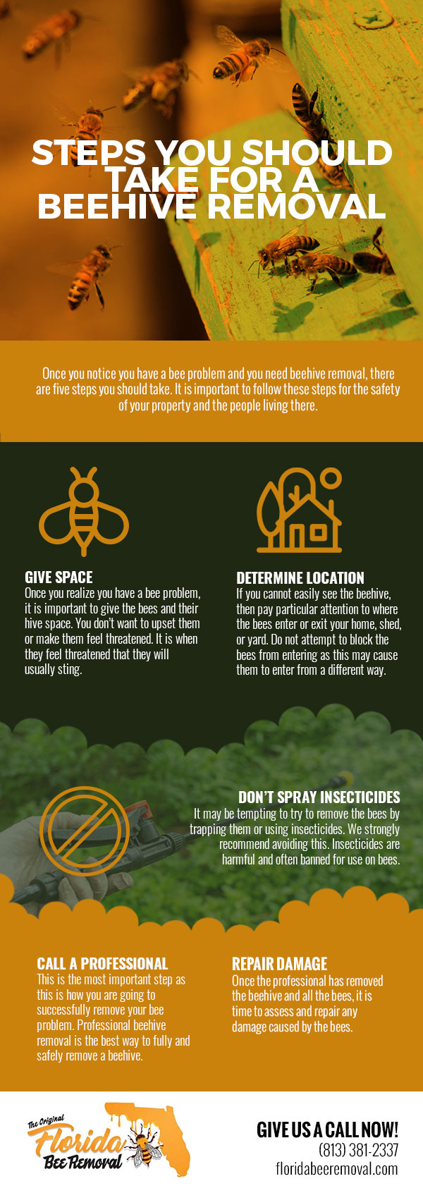 Steps You Should Take for a Beehive Removal