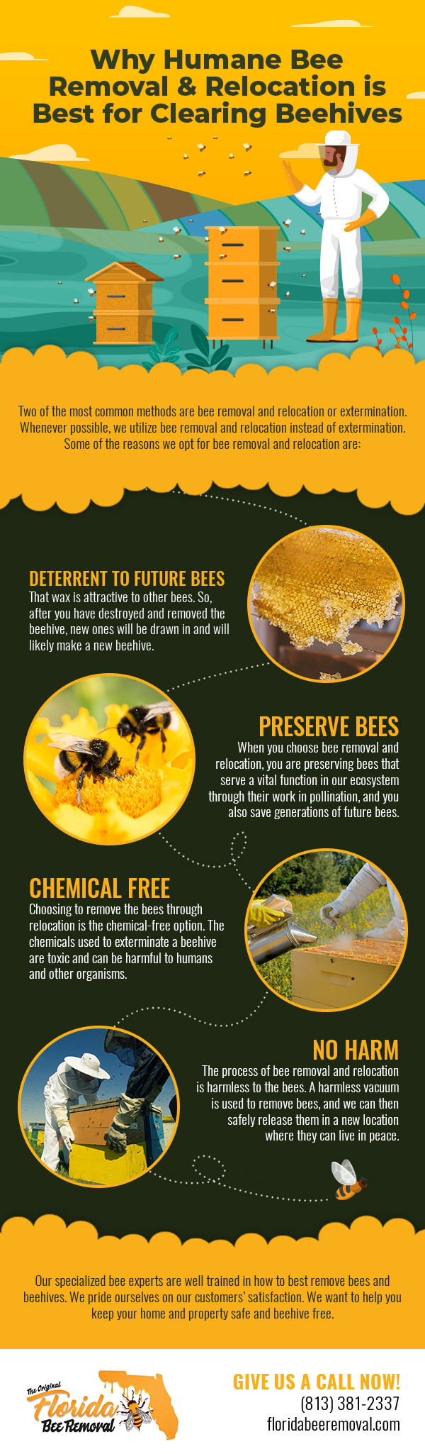 Why Humane Bee Removal & Relocation is Best for Clearing Beehives [infographic]