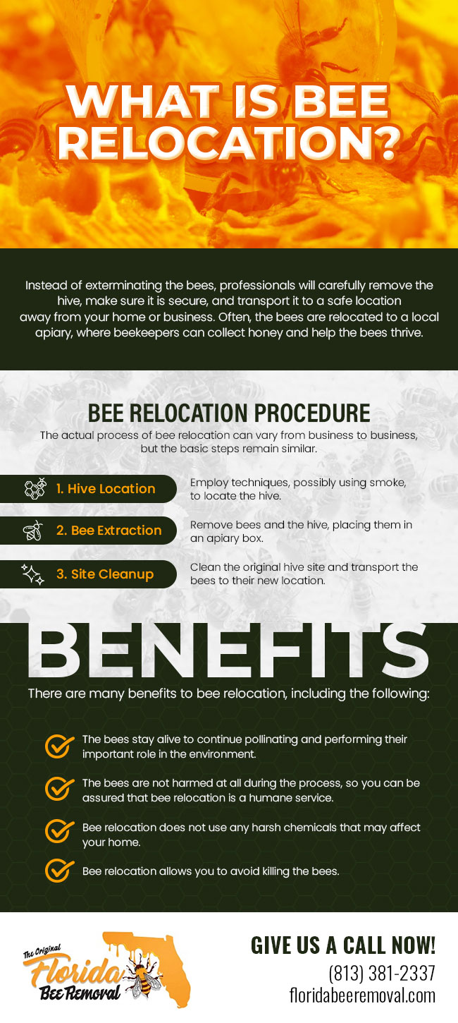 How Does Bee Relocation Work?