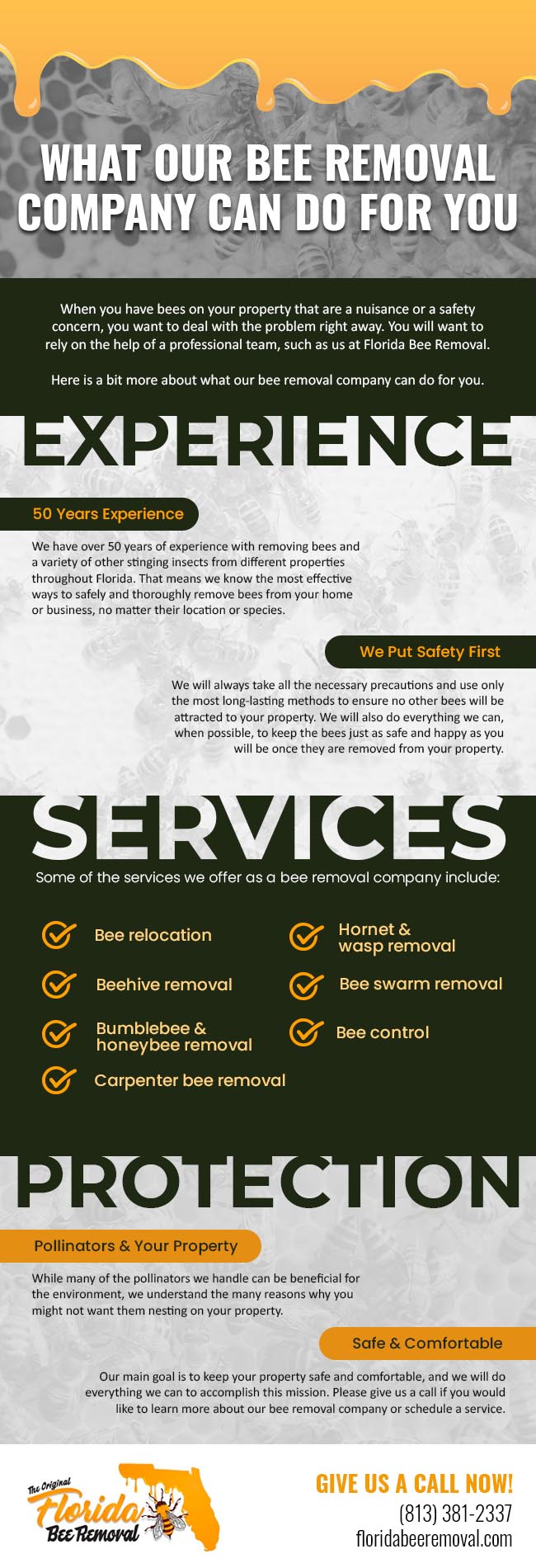 What Our Bee Removal Company Can Do for You [infographic]