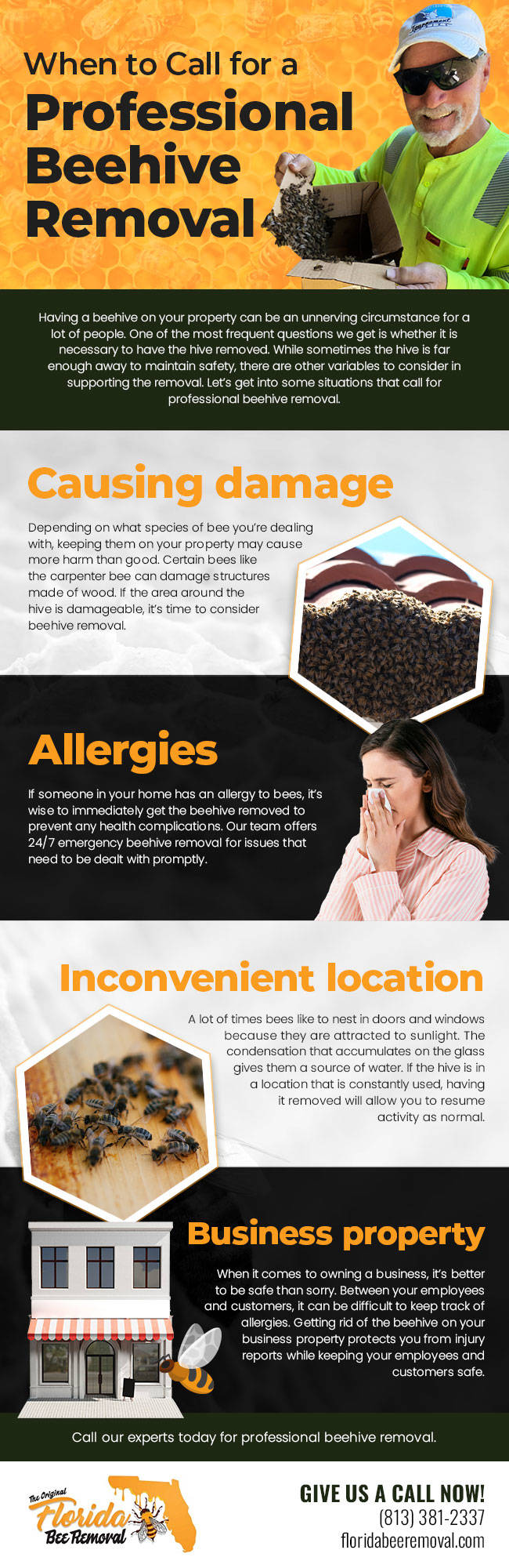 When to Call for a Professional Beehive Removal