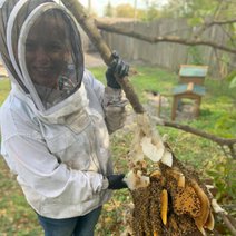 bee removal experts