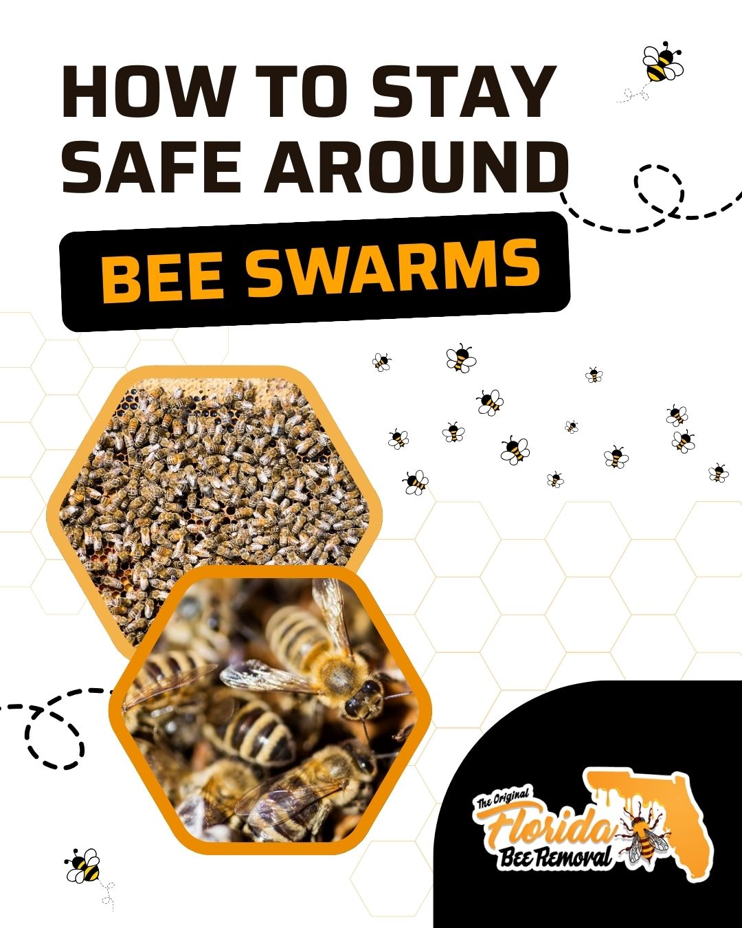 How to Stay Safe Around Bee Swarms