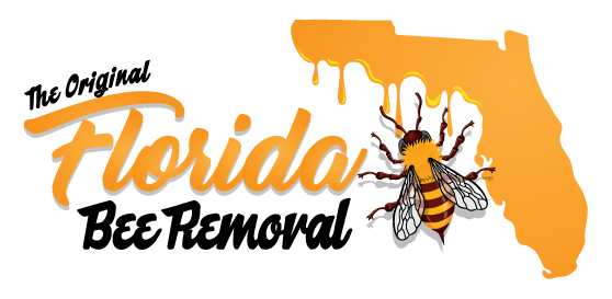 Florida Bee Removal