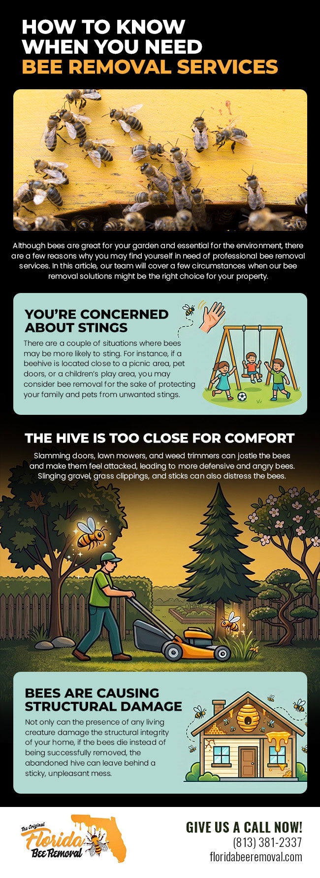 How to Know When You Need Bee Removal Services