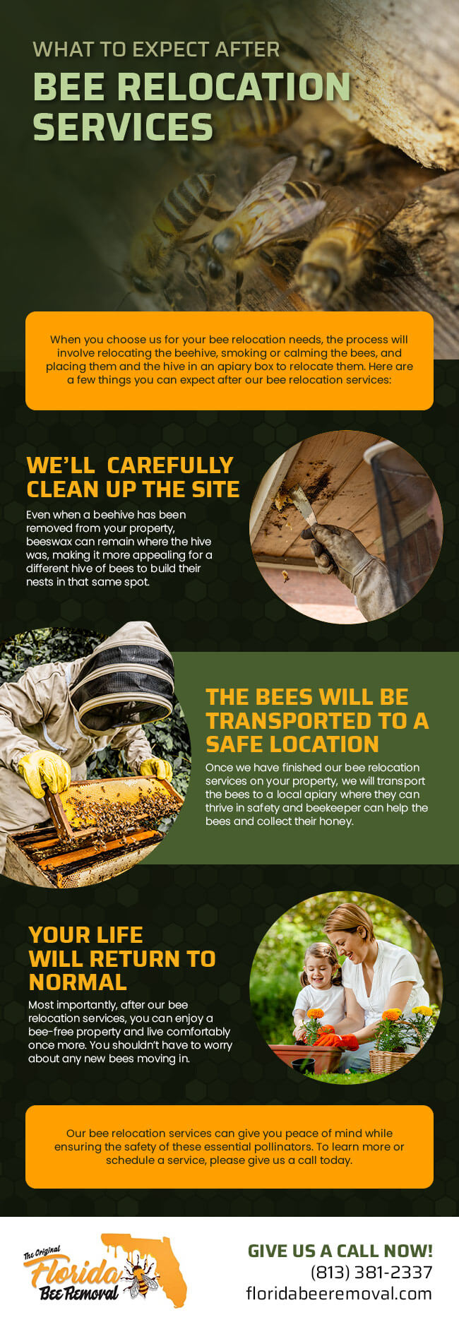 What to Expect after Bee Relocation Services [infographic] | Florida ...